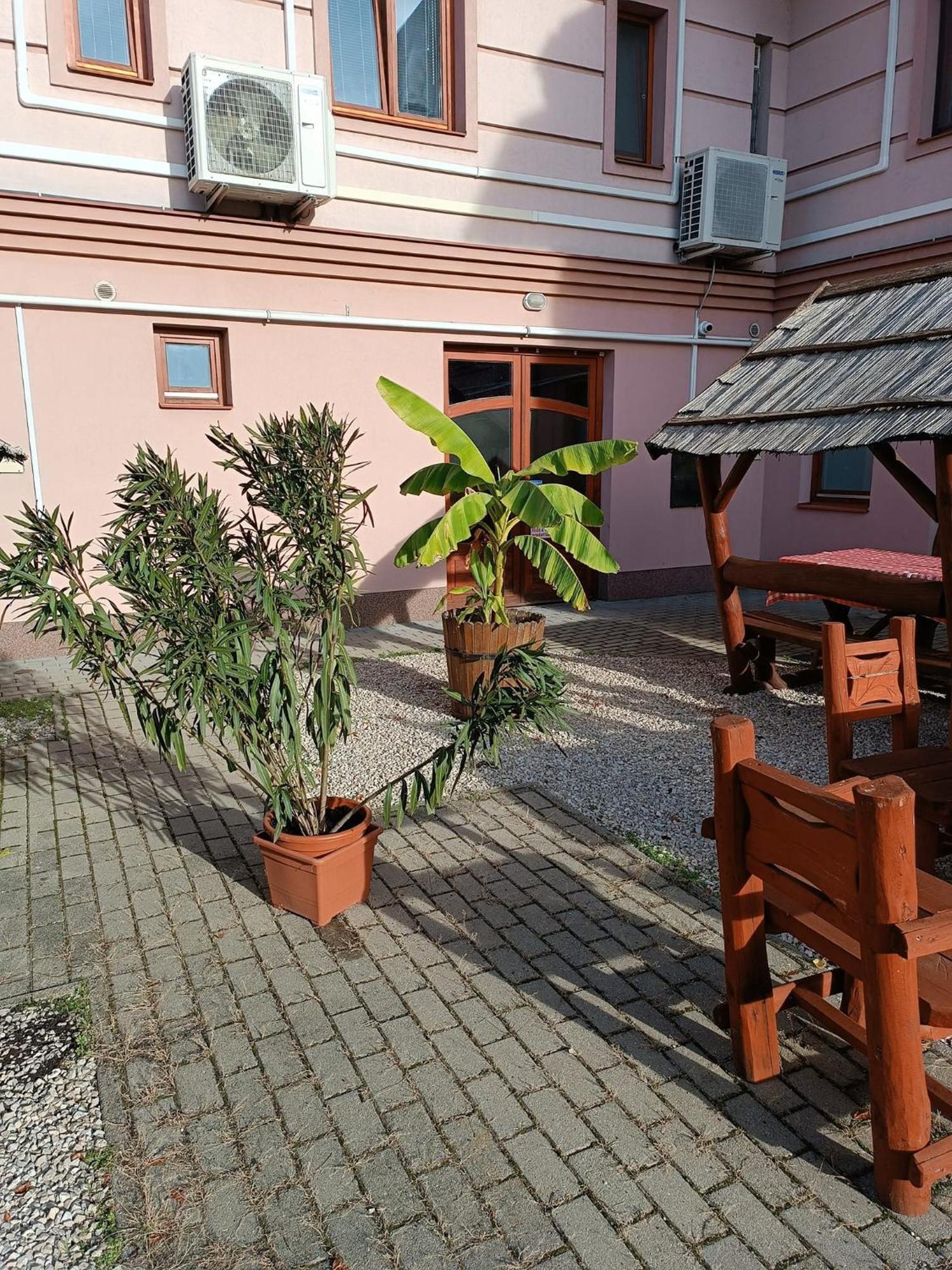 Malom Panzio Bed & Breakfast Kiskunfélegyháza Exterior foto